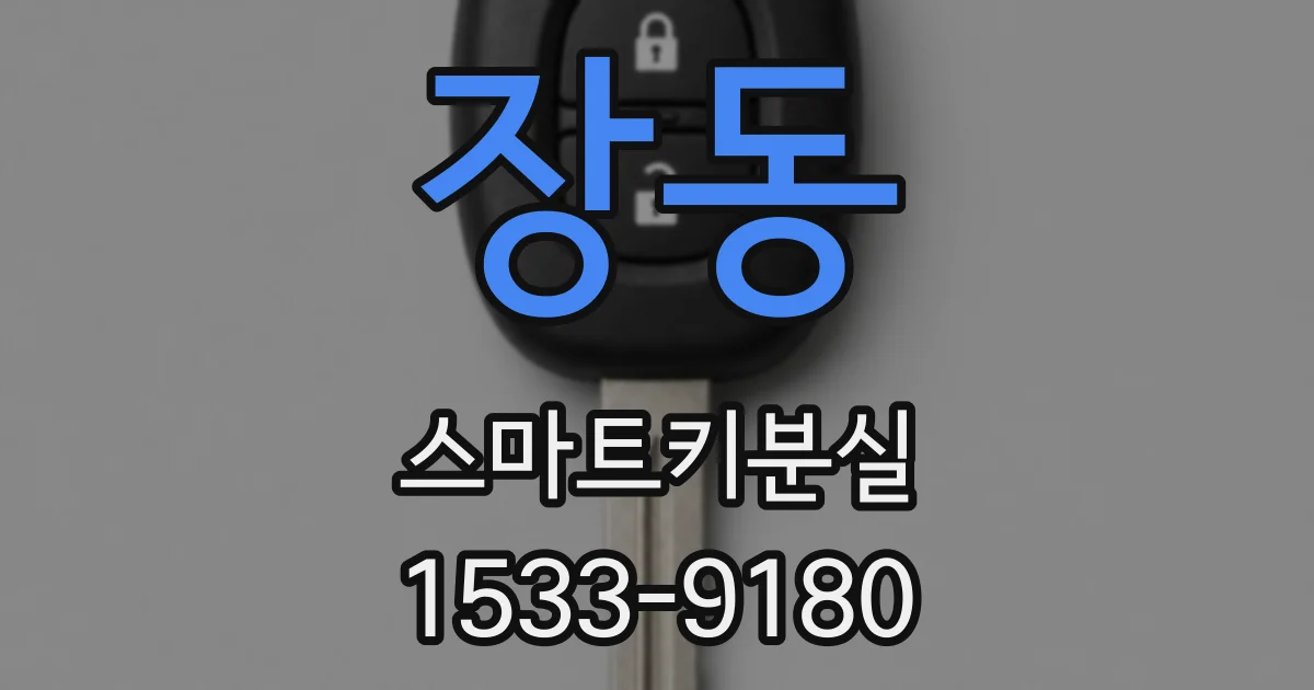 장동 스마트키분실