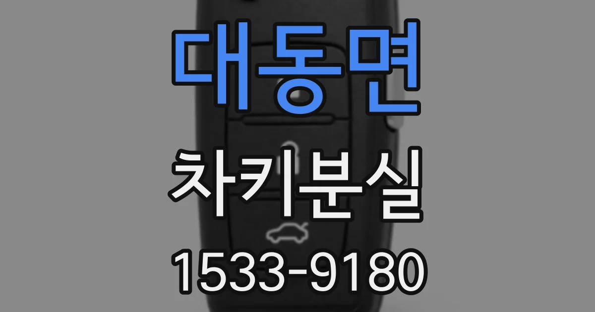 대동면 차키분실