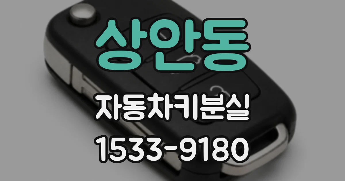 상안동 자동차키분실