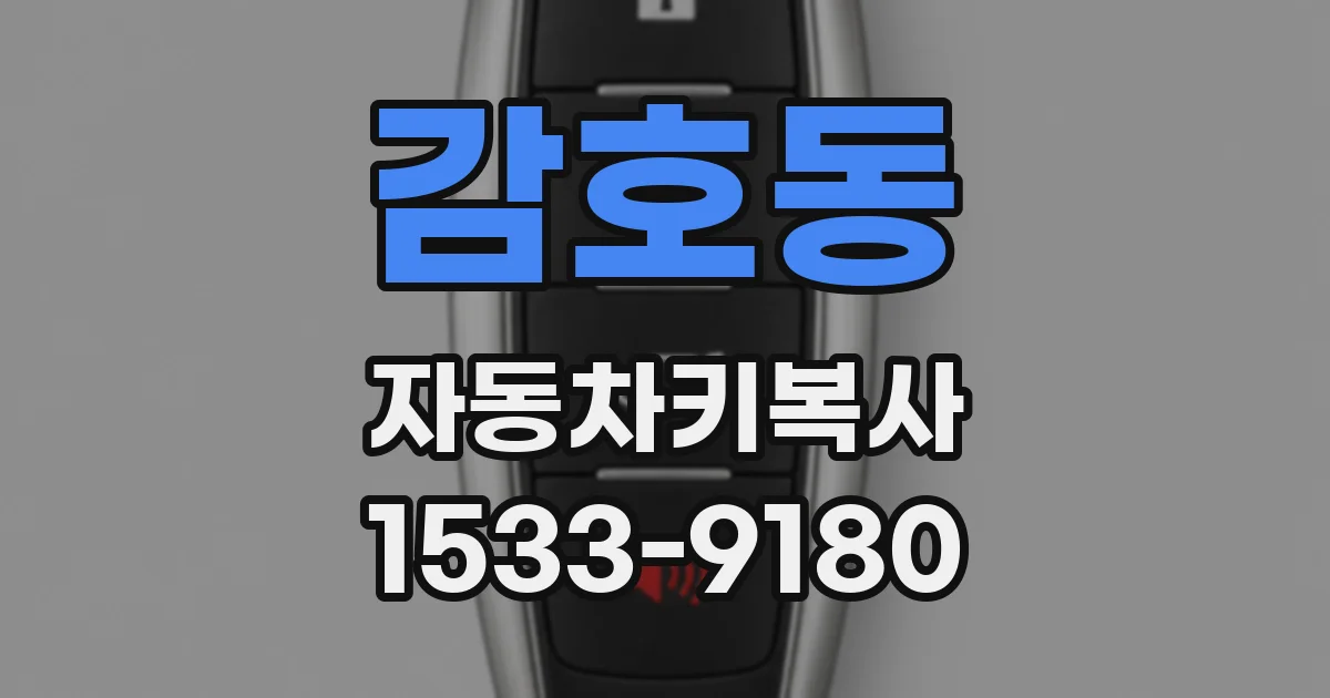감호동 자동차키복사
