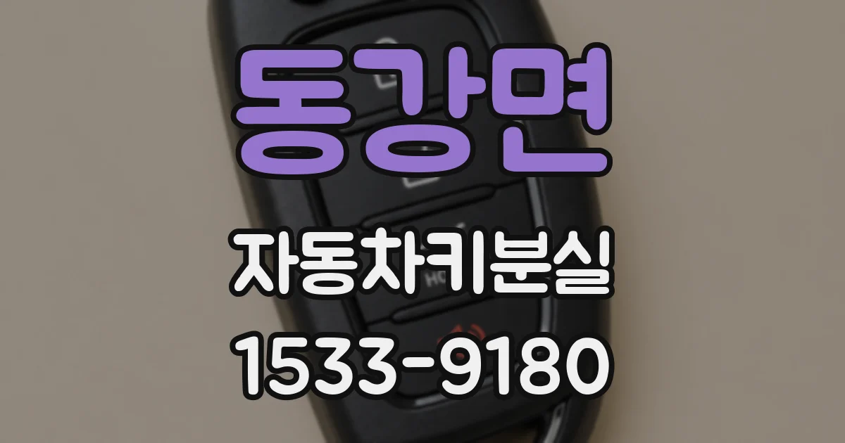 동강면 자동차키분실