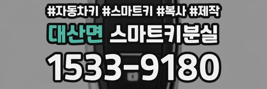 대산면 스마트키분실