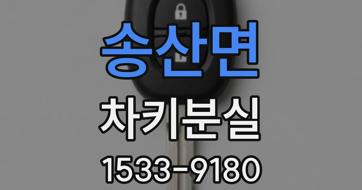송산면 차키분실