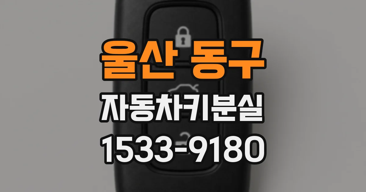 울산 동구 자동차키분실