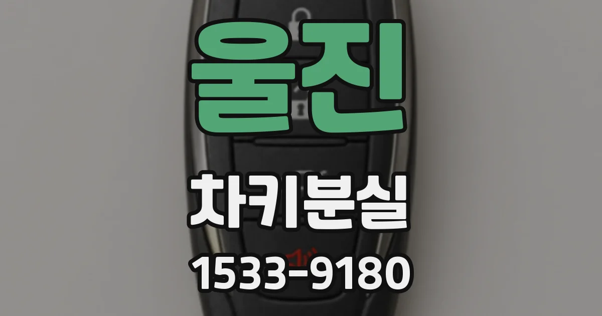 울진 차키분실