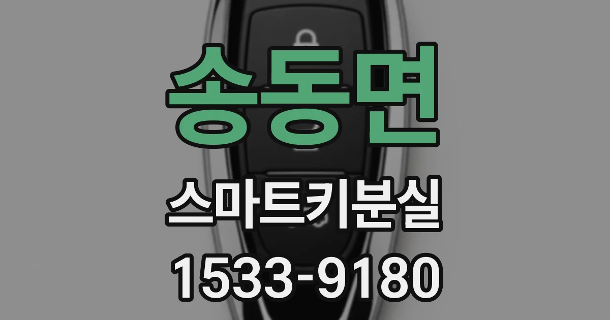 송동면 스마트키분실