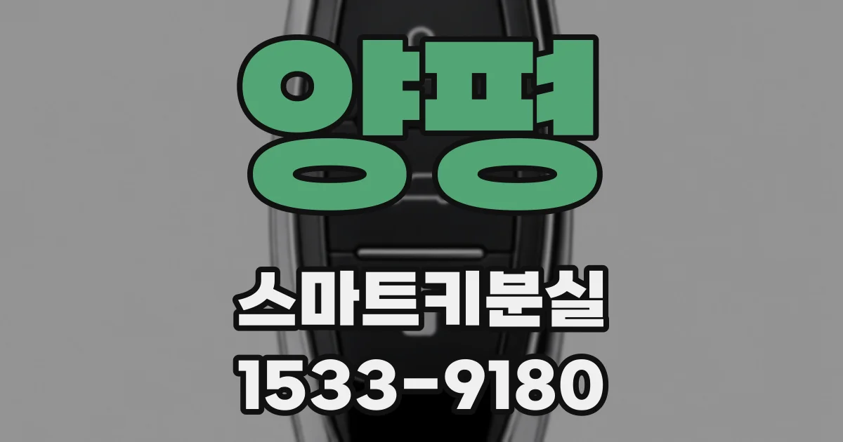 양평 스마트키분실