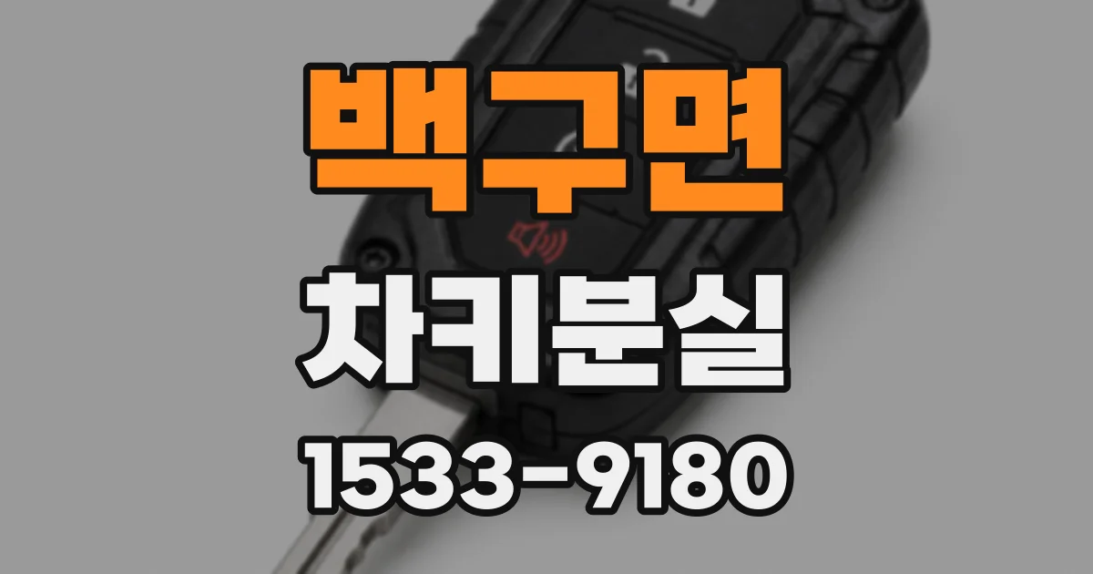 백구면 차키분실