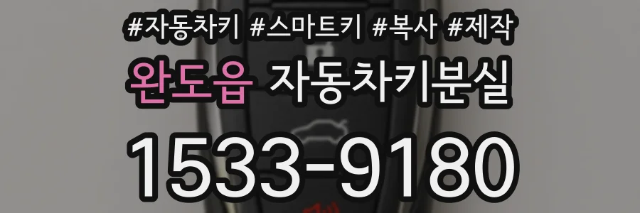 완도읍 자동차키분실