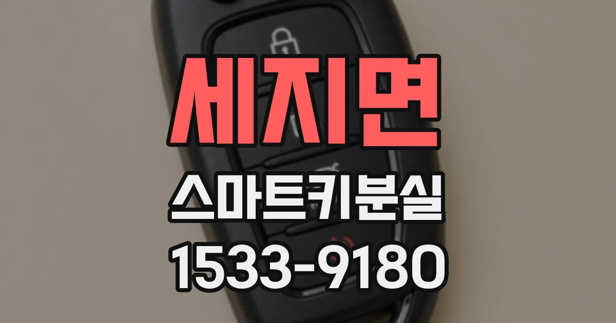 세지면 스마트키분실