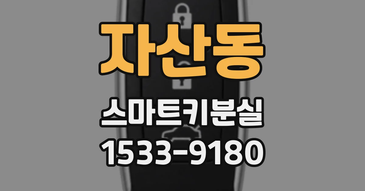 자산동 스마트키분실