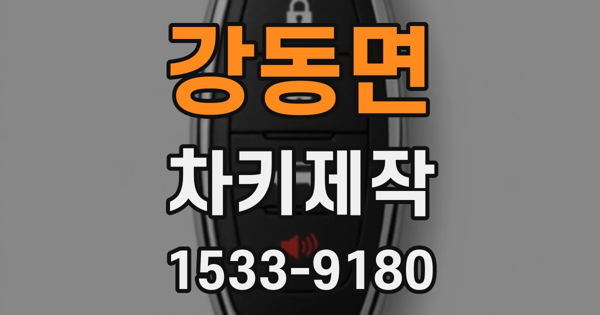 강동면 차키제작