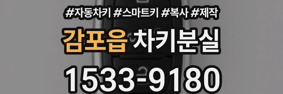 감포읍 차키분실