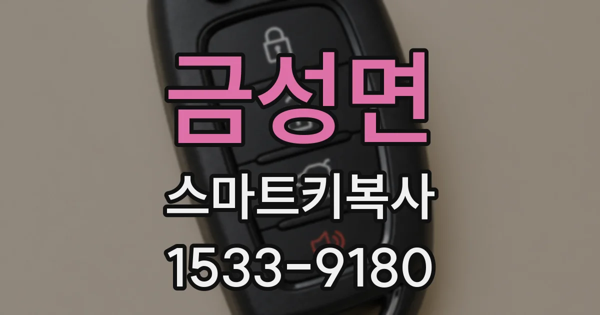 금성면 스마트키복사