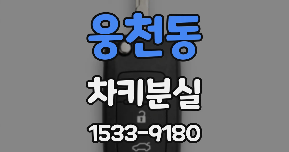 웅천동 차키분실
