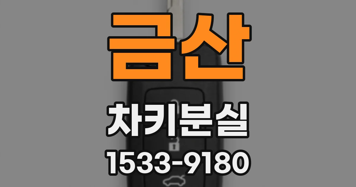 금산 차키분실