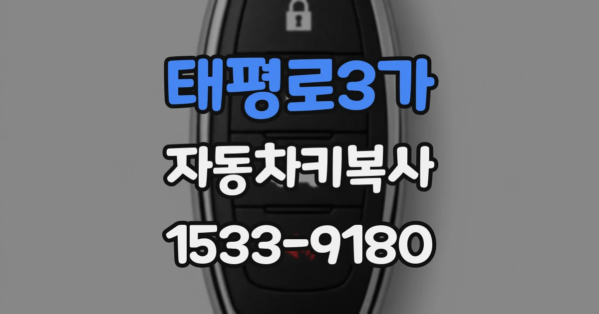 태평로3가 자동차키복사