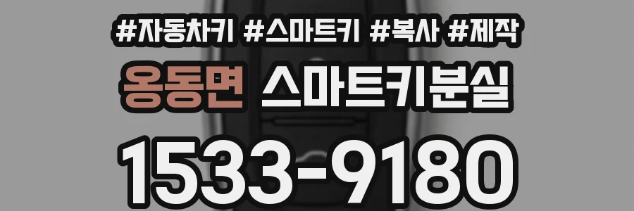 옹동면 스마트키분실