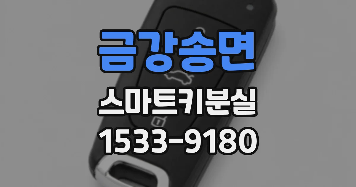금강송면 스마트키분실