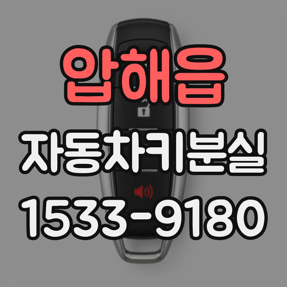 압해읍 자동차키분실