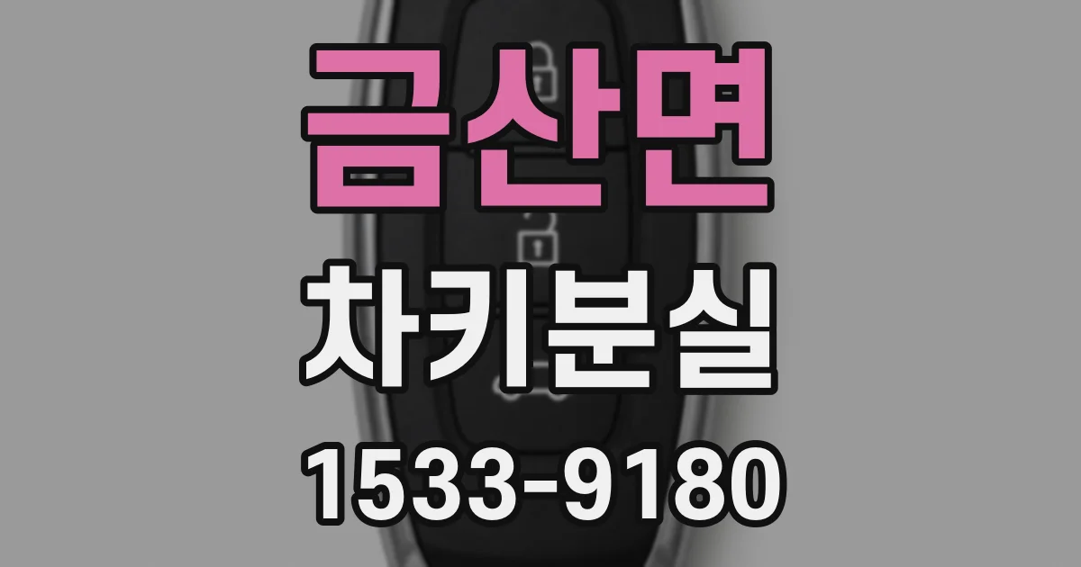 금산면 차키분실