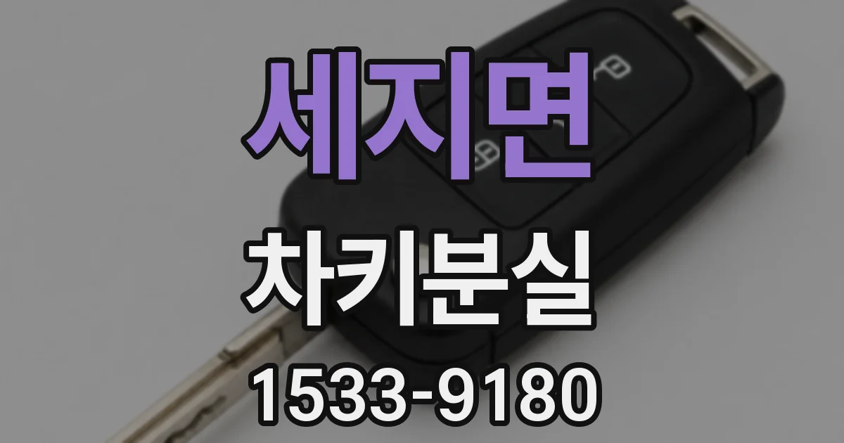 세지면 차키분실