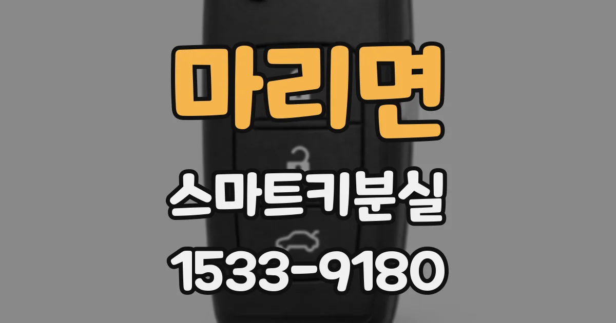 마리면 스마트키분실