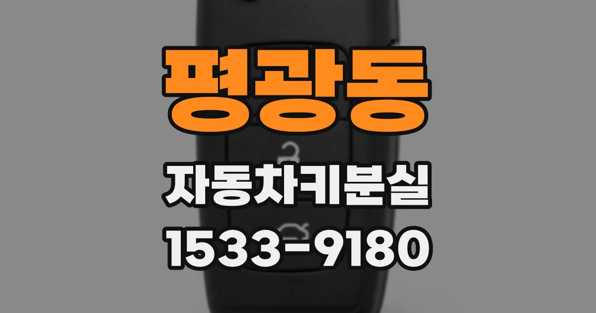 평광동 자동차키분실