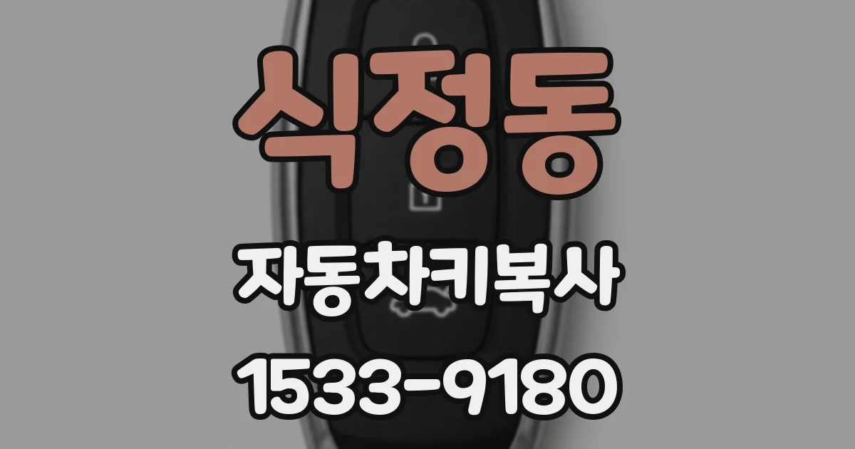 식정동 자동차키복사