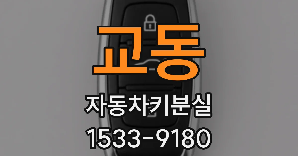 교동 자동차키분실
