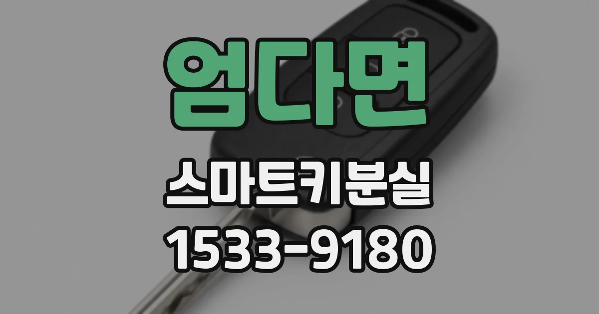 엄다면 스마트키분실