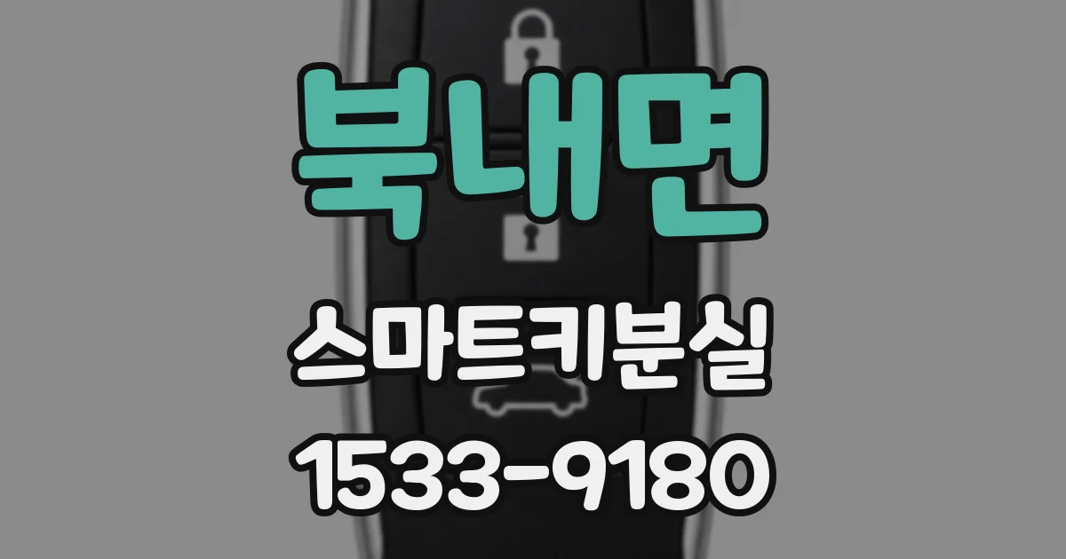 북내면 스마트키분실