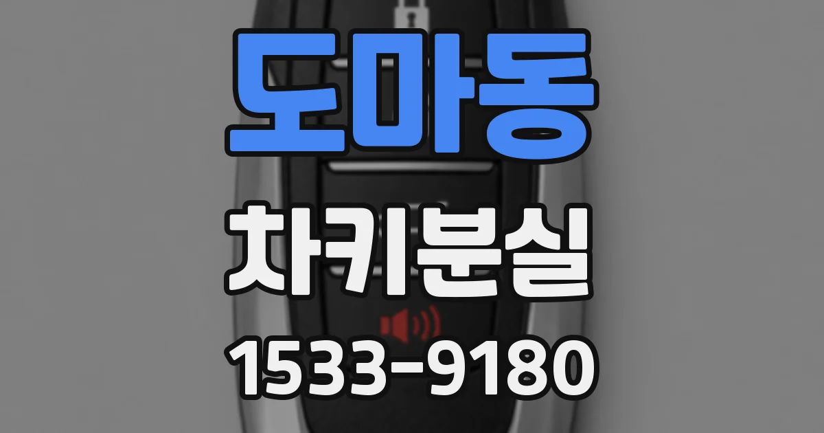 도마동 차키분실