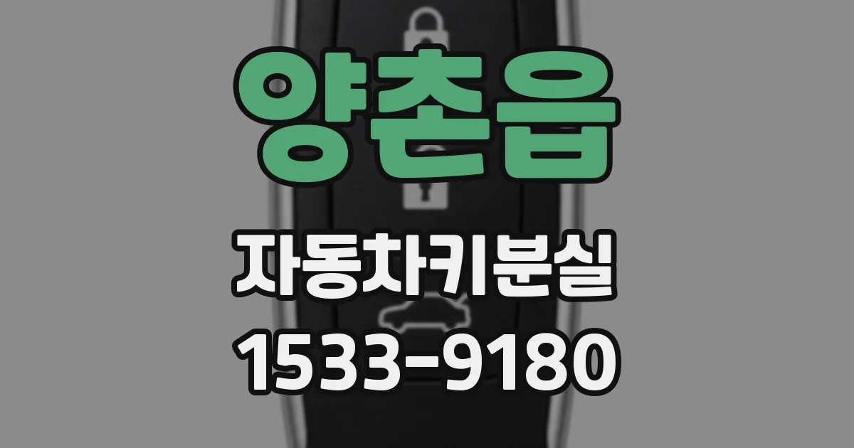 양촌읍 자동차키분실