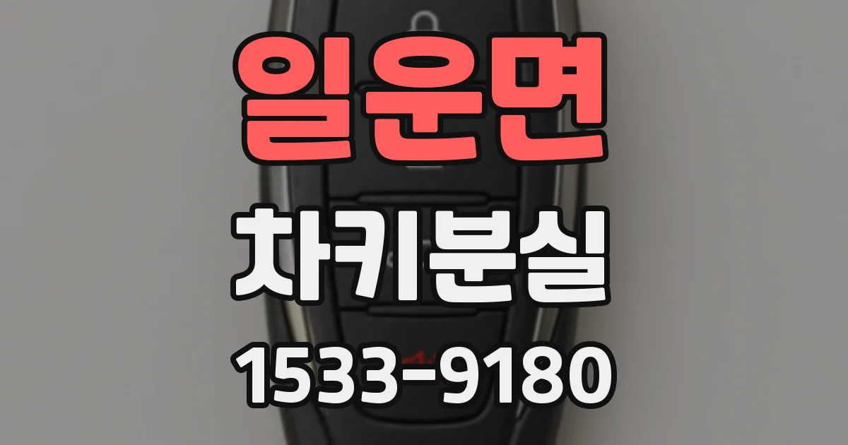 일운면 차키분실