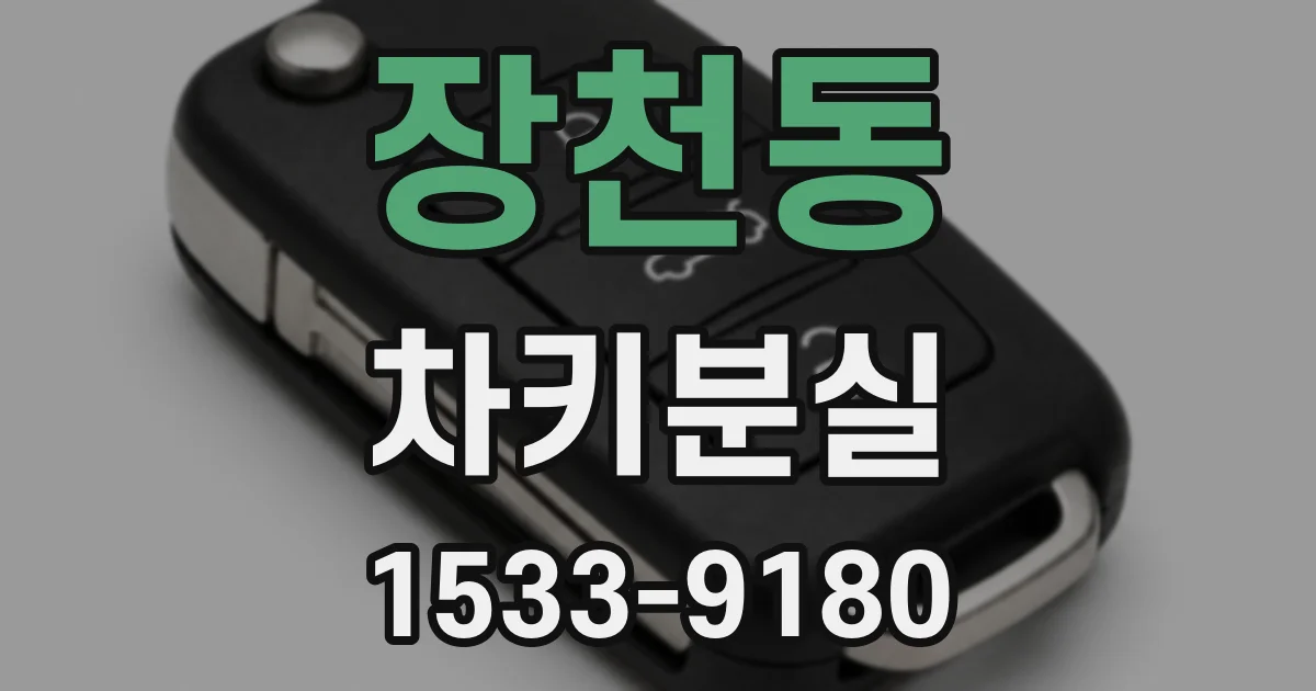 장천동 차키분실