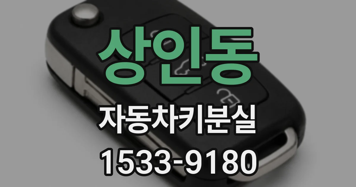 상인동 자동차키분실