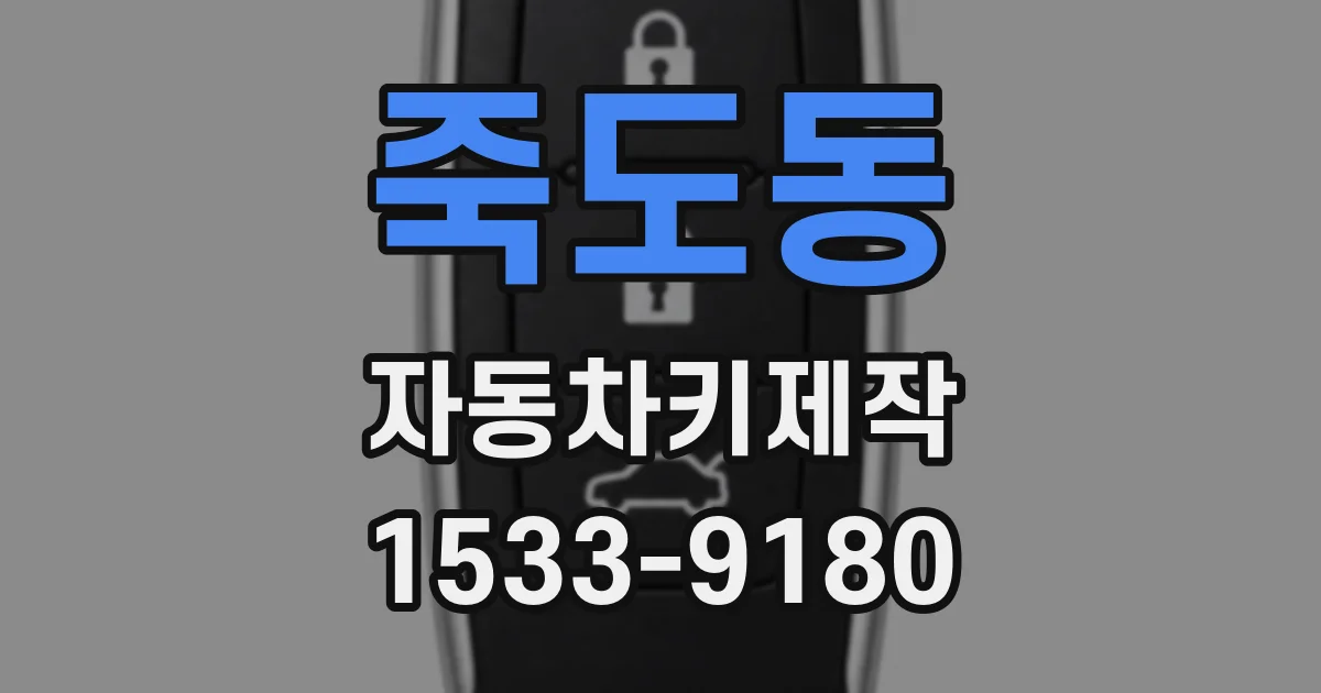 죽도동 자동차키제작