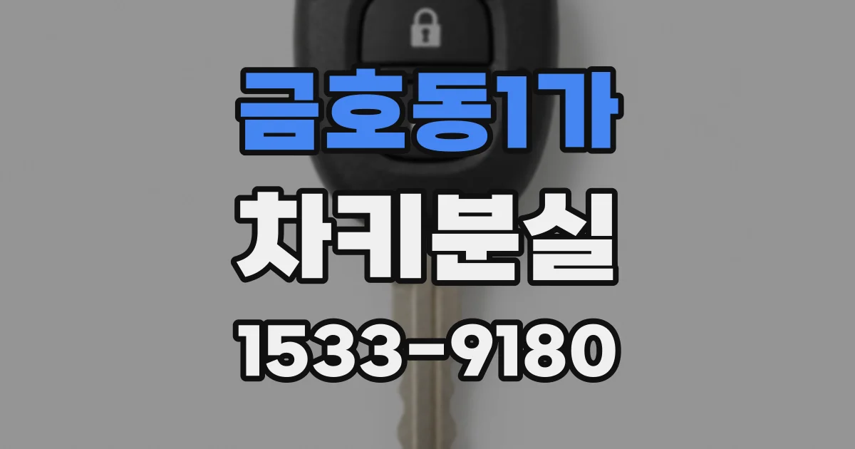 금호동1가 차키분실