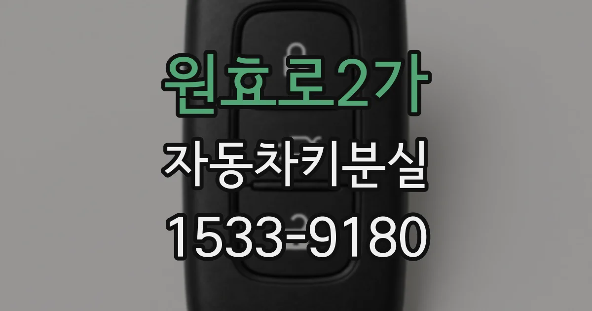원효로2가 자동차키분실
