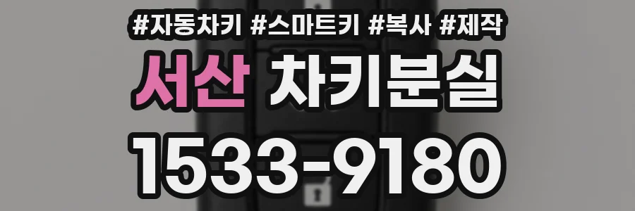 서산 차키분실