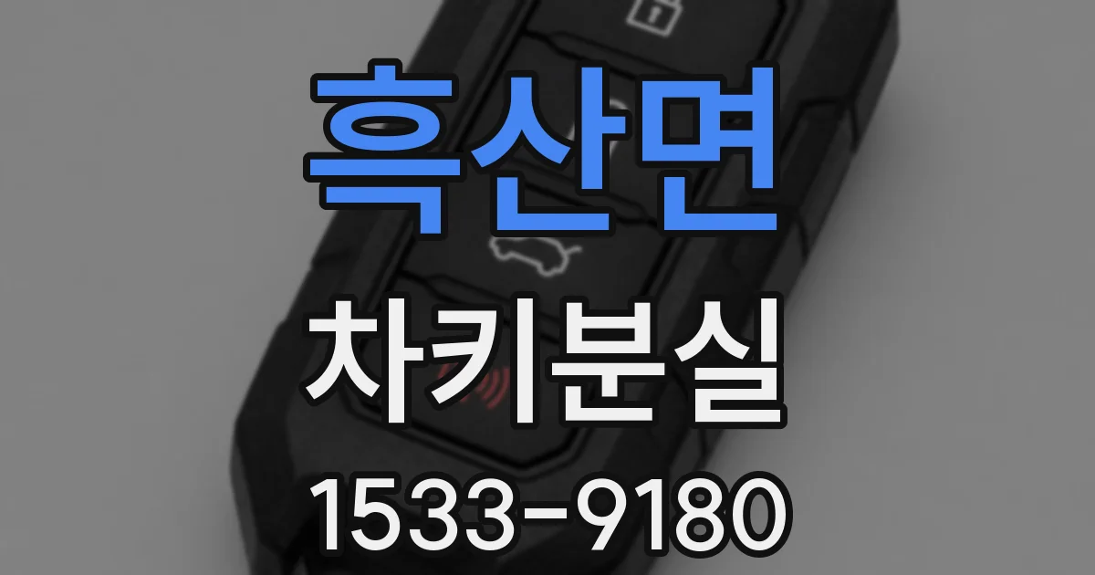 흑산면 차키분실