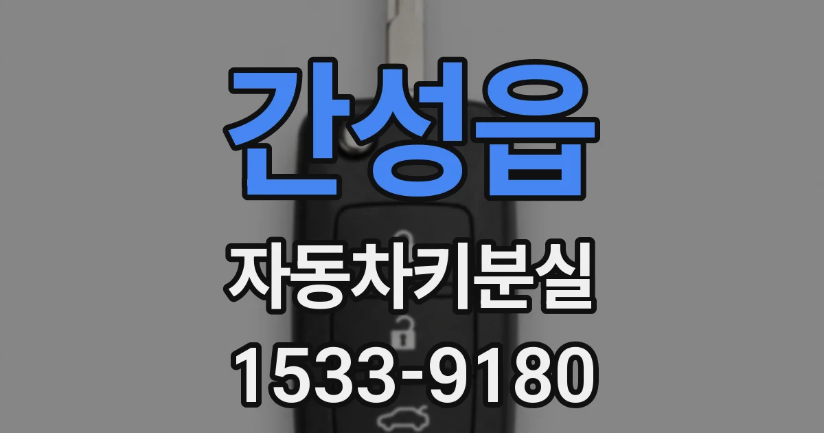 간성읍 자동차키분실