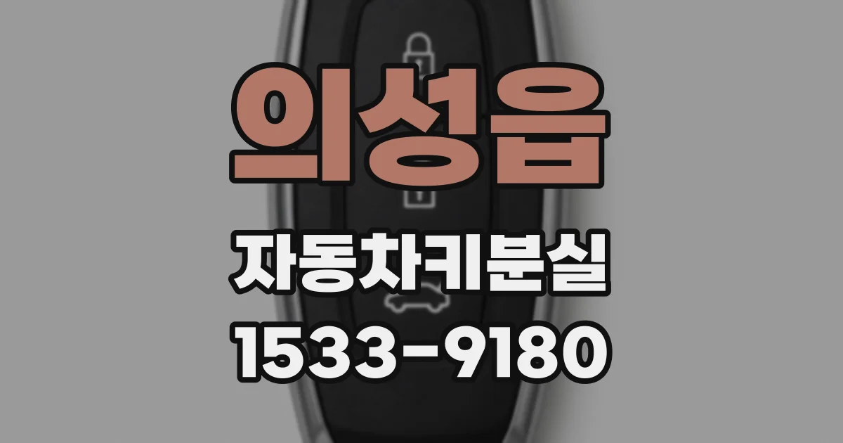 의성읍 자동차키분실