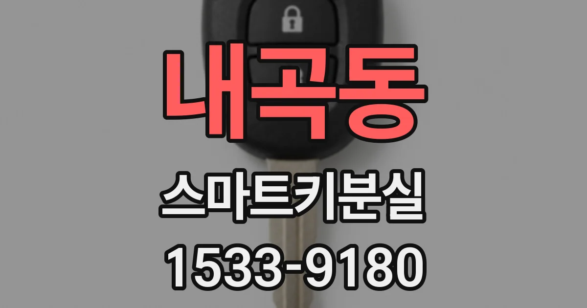 내곡동 스마트키분실