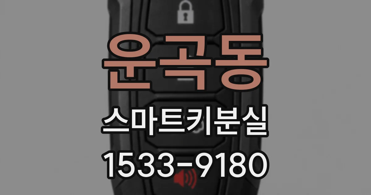운곡동 스마트키분실
