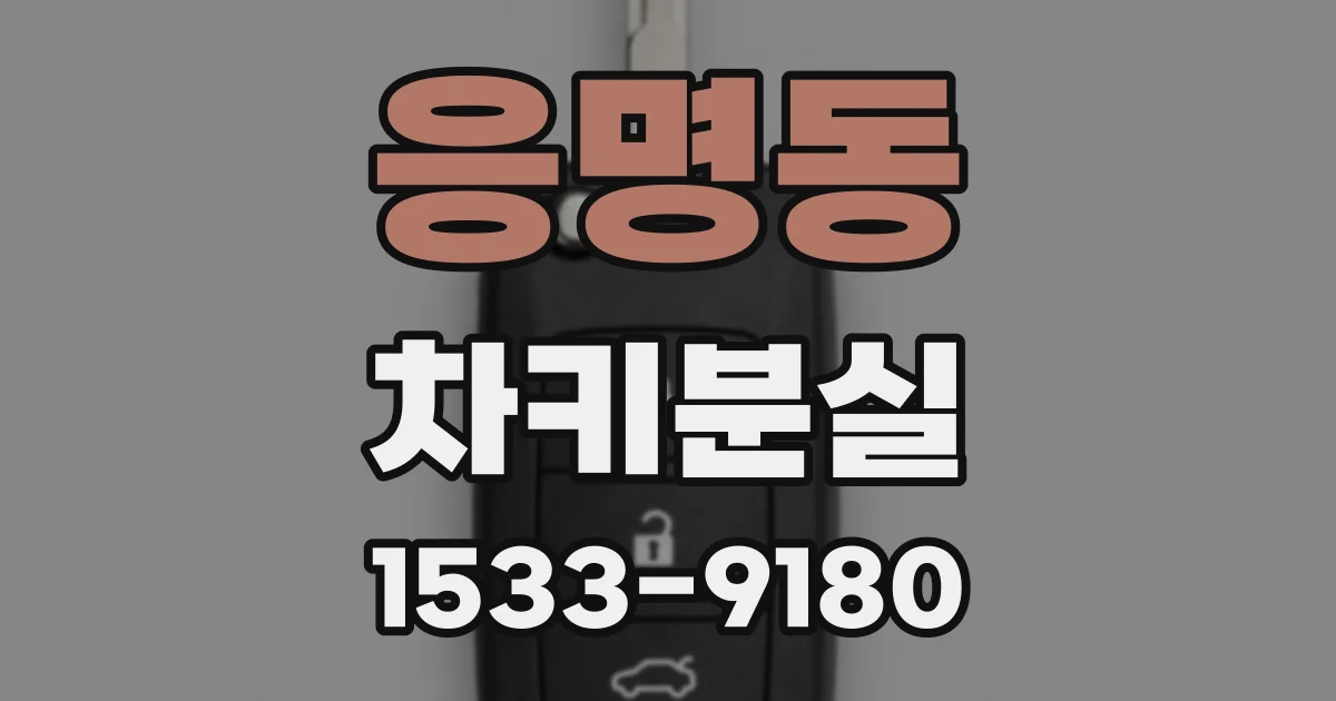 응명동 차키분실