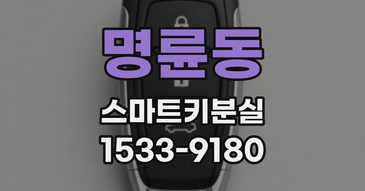 명륜동 스마트키분실