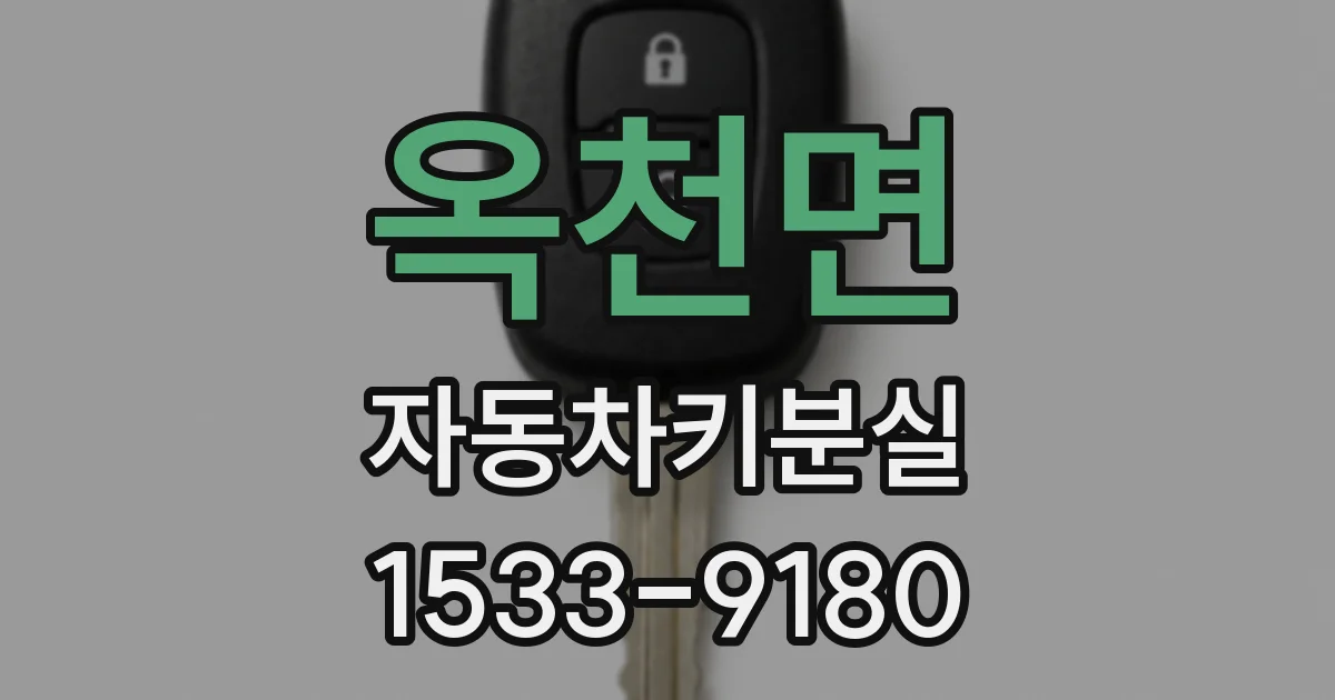 옥천면 자동차키분실