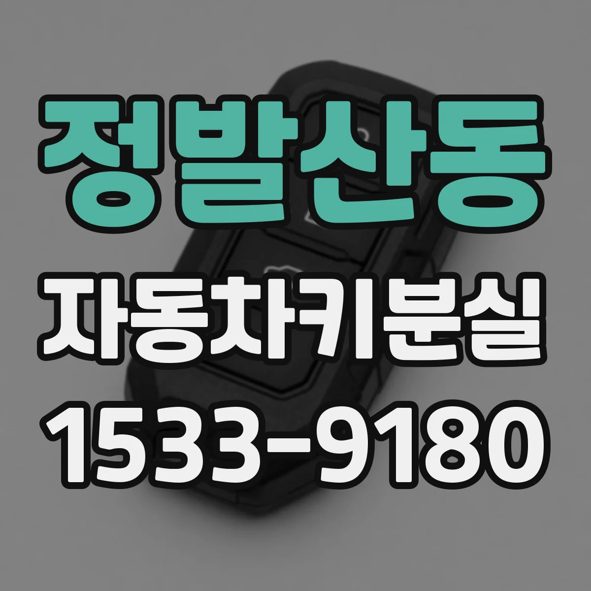 정발산동 자동차키분실